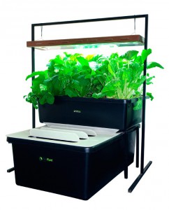 kit-aquaponie-fishplant-family-unit